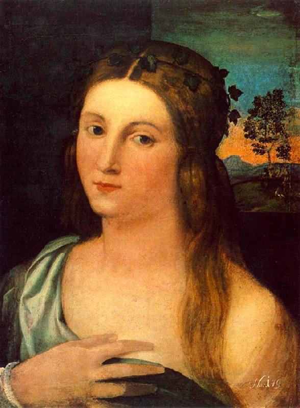 Palma Vecchio Portrait of a Young Woman ag oil painting image